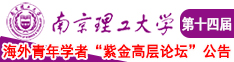 艹逼污污用力插南京理工大学第十四届海外青年学者紫金论坛诚邀海内外英才！